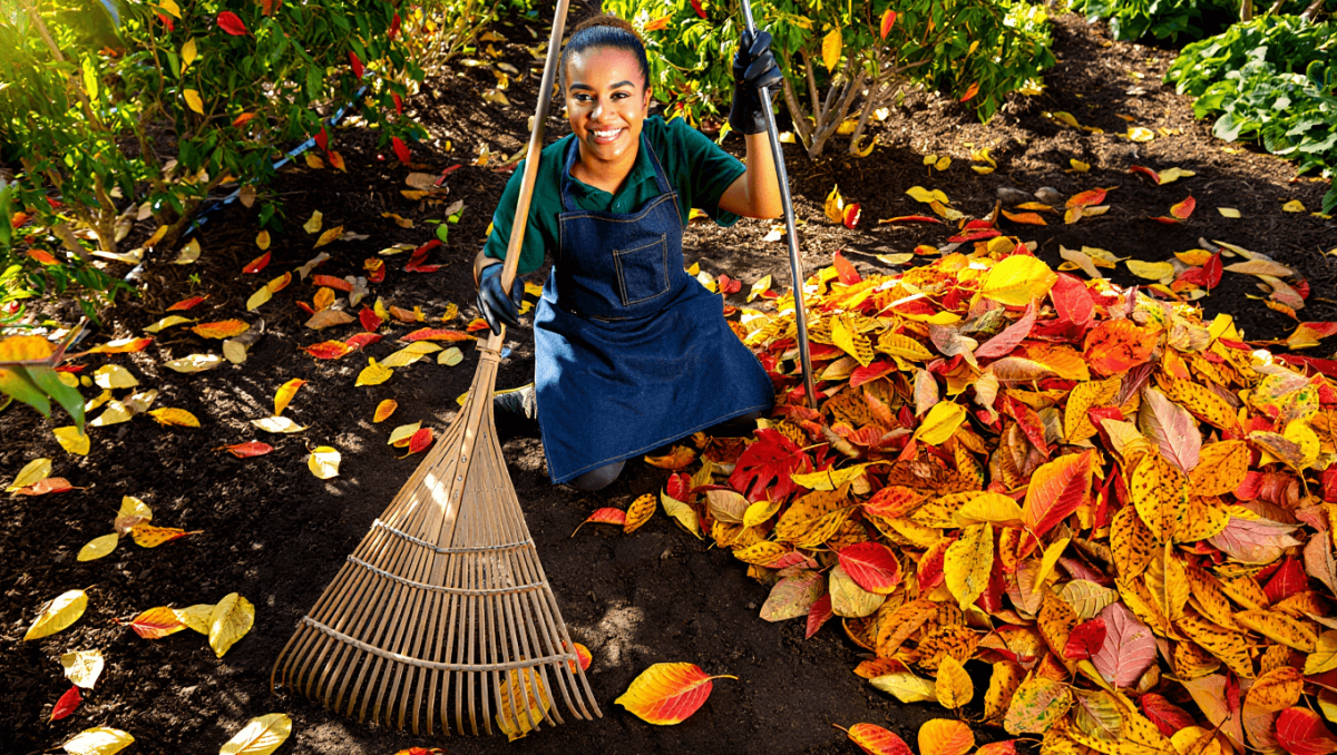 Que faire des feuilles mortes au jardin?