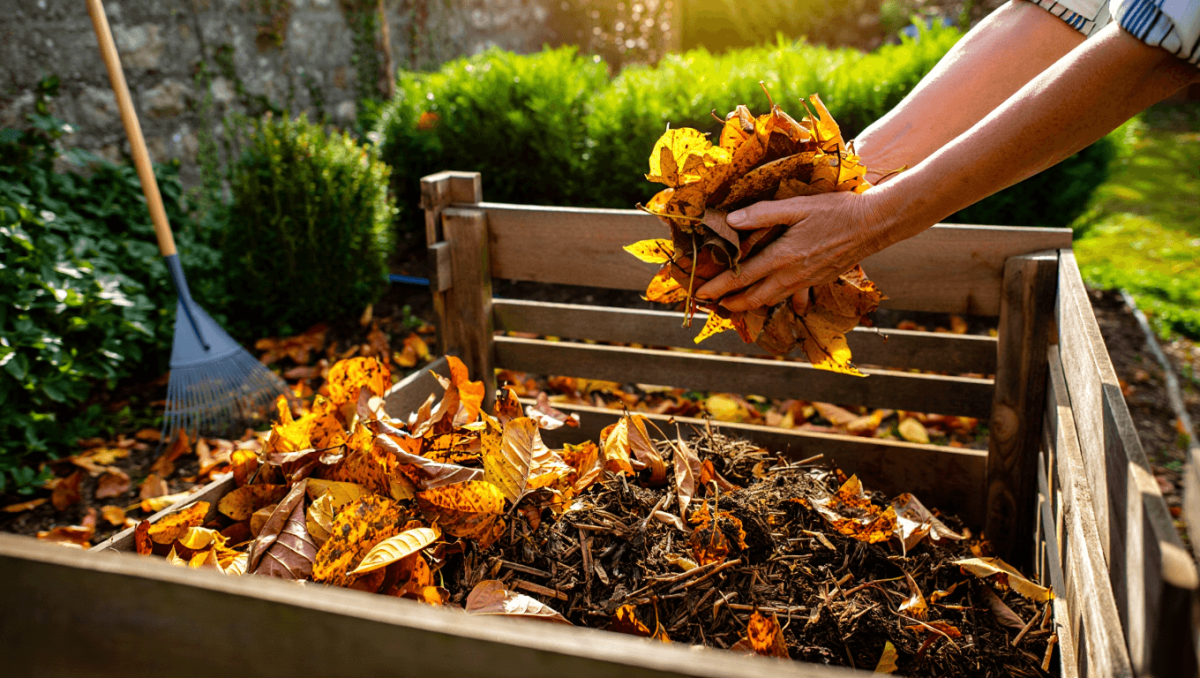 
                        Que faire des feuilles mortes au jardin?
                    