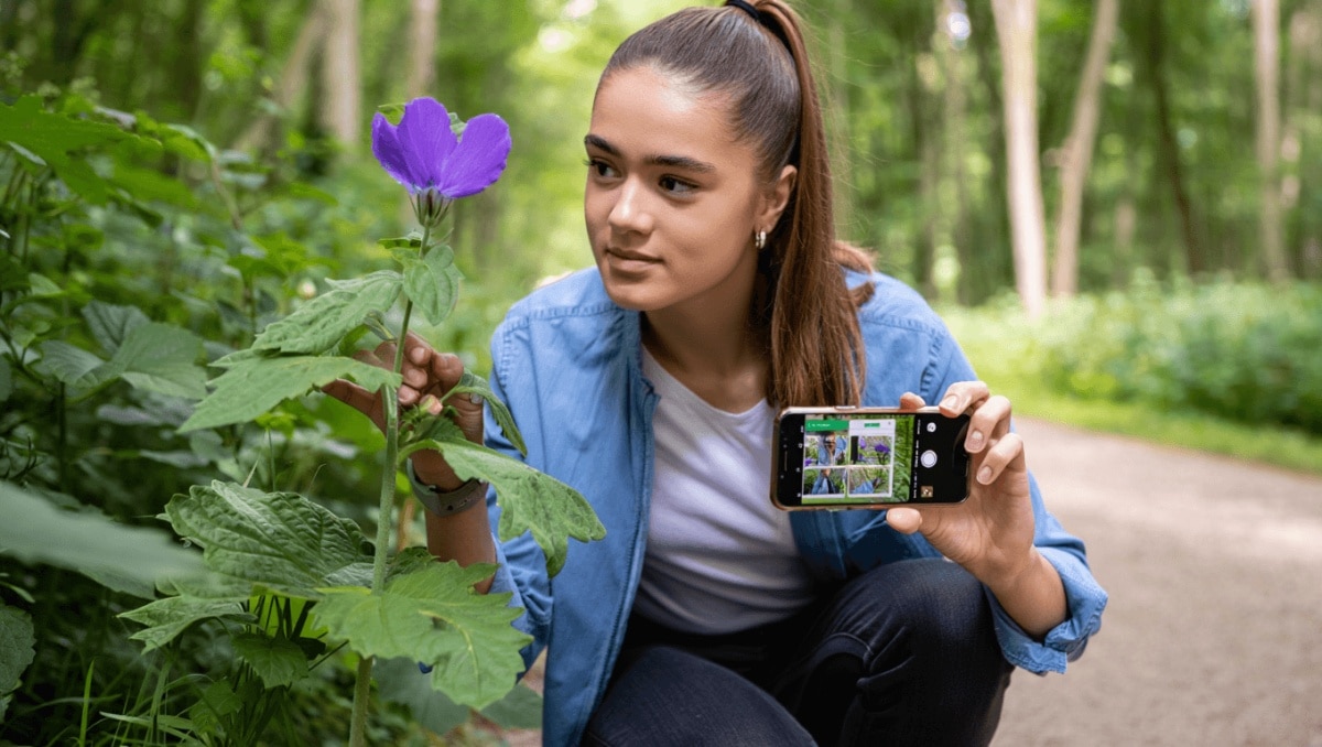 
                        Tuto: Reconnaître les plantes qui vous entourent avec l’application PlantNet
                    