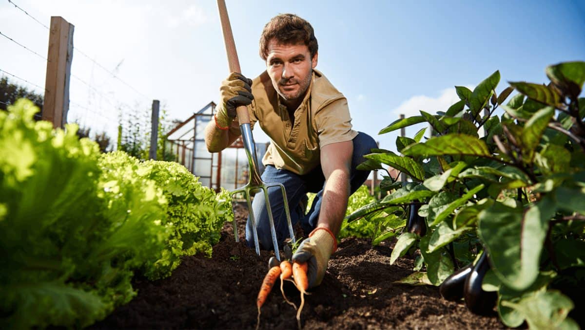 Potager: les 5 conseils à connaître pour bien préparer la terre et obtenir une belle récolte