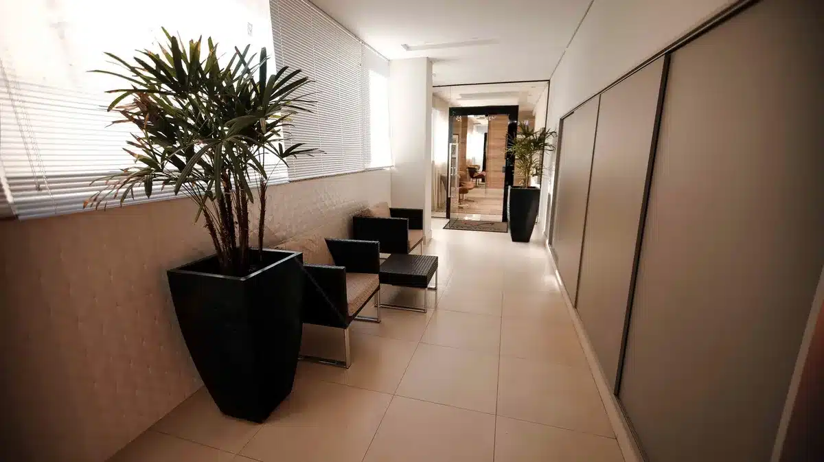 Plantes d'intérieur en pots placées sur des étagères dans une salle d'attente médicale