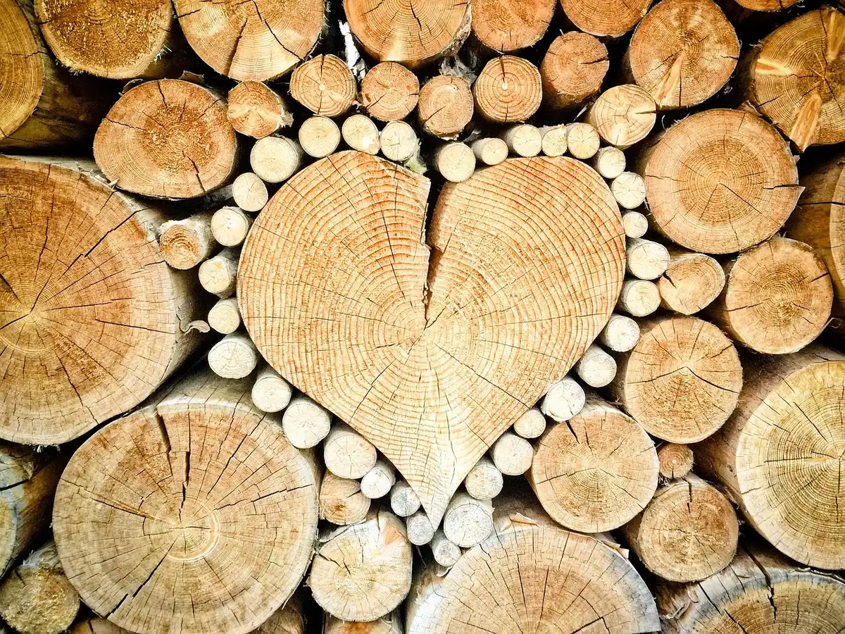 Détails de matériaux: bois clair et carrelage texturé dans une petite salle de bain